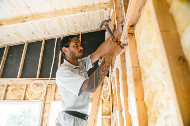 Best Energy-efficient Insulation  in Springfield, IL